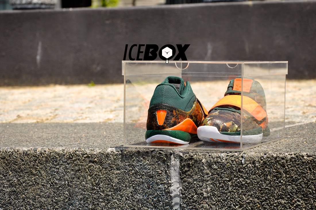 ICEBOX – La boîte parfaite pour vos Sneakers